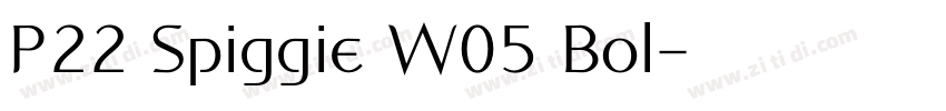 P22 Spiggie W05 Bol字体转换